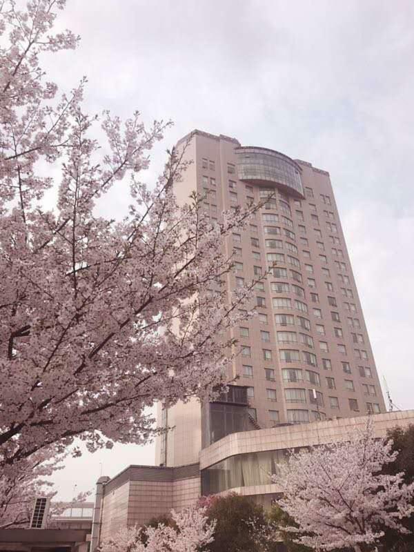 Xiongchu International Hotel Wuhan Exterior foto